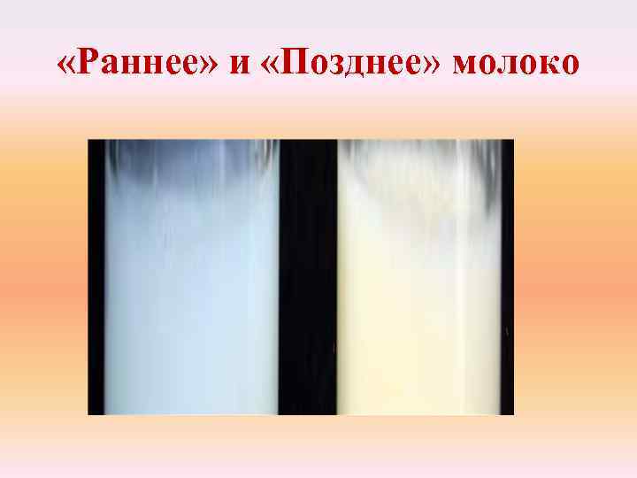 Процесс сосания ребенком груди заставляет ее вырабатывать молоко (молокопродуцирующий гормон) Процесс сосания ребенком груди заставляет ее вырабатывать молоко (молокопродуцирующий гормон)