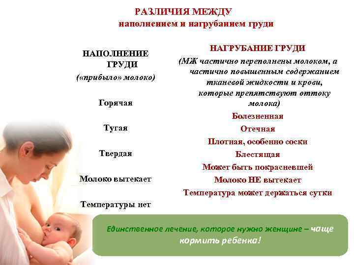 МАЛО МОЛОКА – лактационный криз Лактационый криз – физиологическое МАЛО МОЛОКА – лактационный криз Лактационый криз – физиологическое