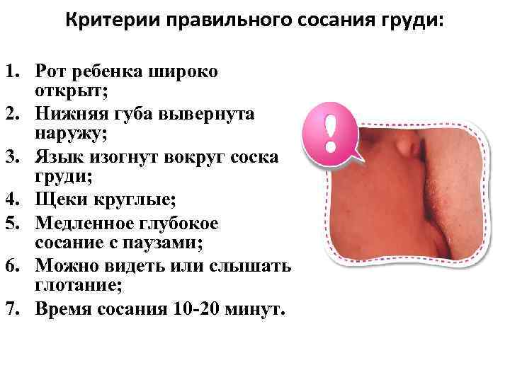 ПОЛОЖЕНИЯ ПРИ КОРМЛЕНИИ СИДЯ ПОЛОЖЕНИЯ ПРИ КОРМЛЕНИИ СИДЯ