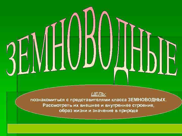  ЦЕЛЬ: познакомиться с представителями класса ЗЕМНОВОДНЫХ. Рассмотреть их внешнее и внутреннее строение, образ