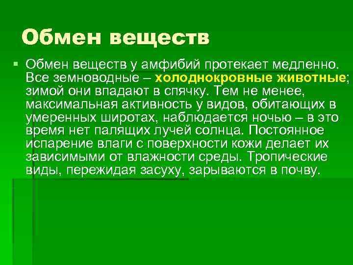 Обмен веществ у теплокровных