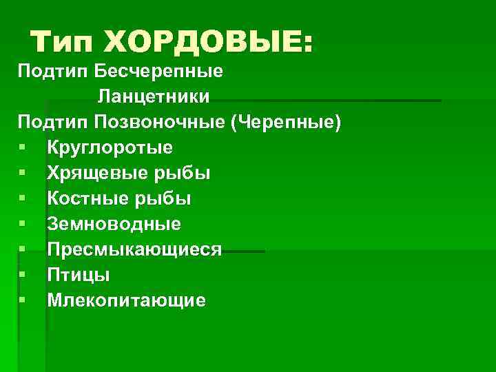  Тип ХОРДОВЫЕ: Подтип Бесчерепные Ланцетники Подтип Позвоночные (Черепные) § Круглоротые § Хрящевые рыбы