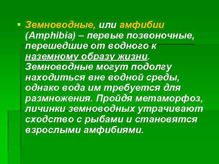 § Земноводные, или амфибии (Amphibia) – первые позвоночные, перешедшие от водного к наземному образу