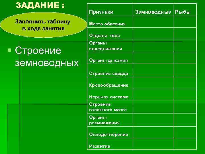 Основные признаки земноводных