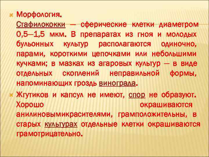   Морфология.  Стафилококки — сферические клетки диаметром 0, 5— 1, 5 мкм.