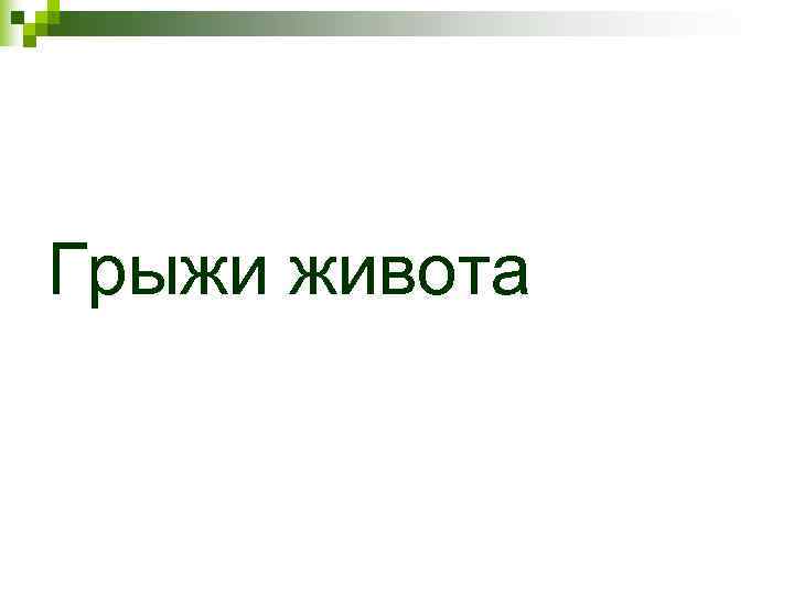 Грыжи живота Грыжи живота