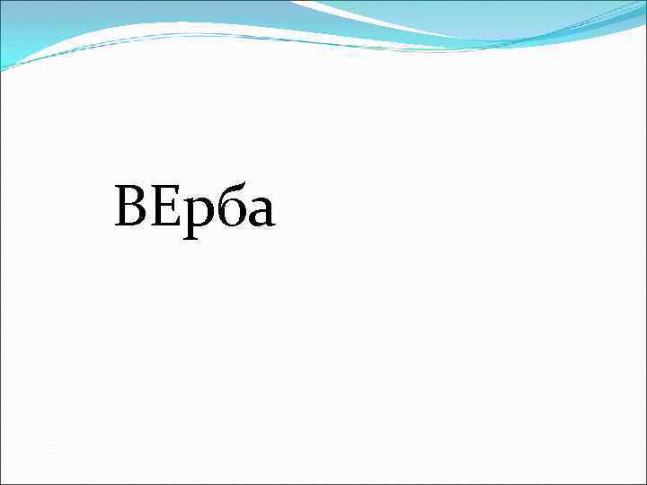 ВЕрба 