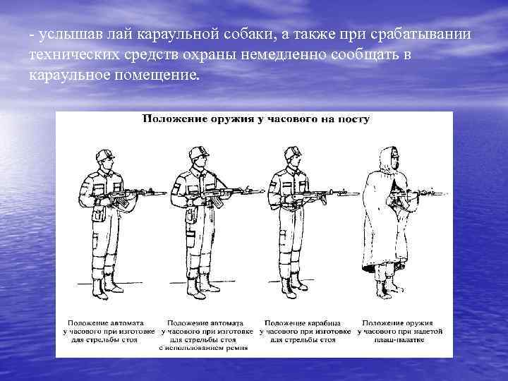 - услышав лай караульной собаки, а также при срабатывании технических средств охраны немедленно сообщать