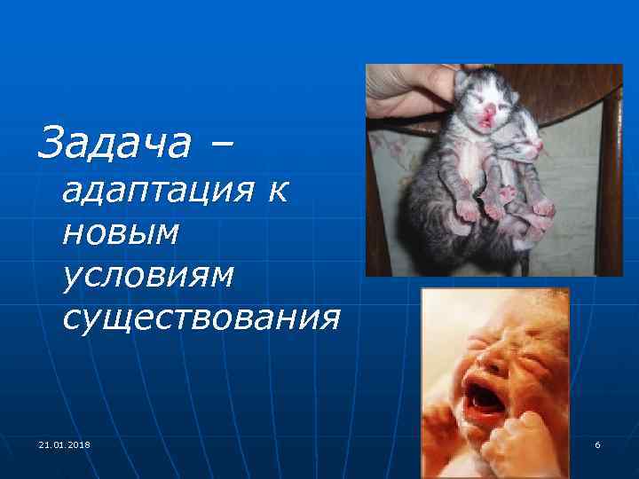 Задача – адаптация к новым условиям существования 21. 01. 2018 6 