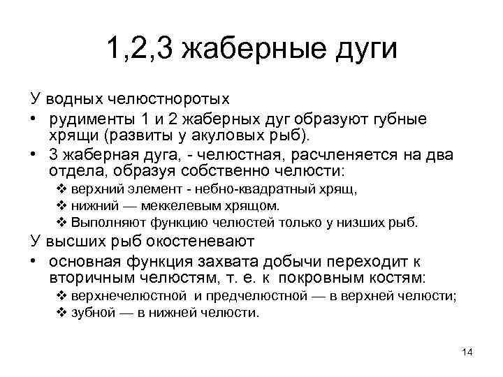  1, 2, 3 жаберные дуги У водных челюстноротых • рудименты 1 и 2