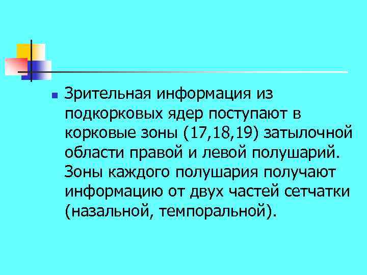 n Зрительная информация из подкорковых ядер поступают в корковые зоны (17, 18, 19) затылочной