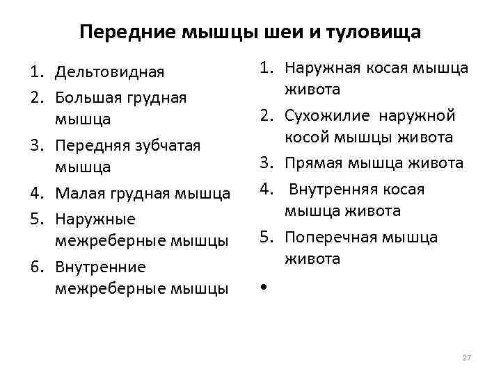  Передние мышцы шеи и туловища 1. Дельтовидная 1. Наружная косая мышца 2. Большая