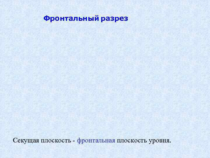  Фронтальный разрез Секущая плоскость - фронтальная плоскость уровня. 