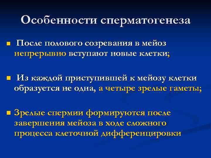  Особенности сперматогенеза n После полового созревания в мейоз непрерывно вступают новые клетки; n