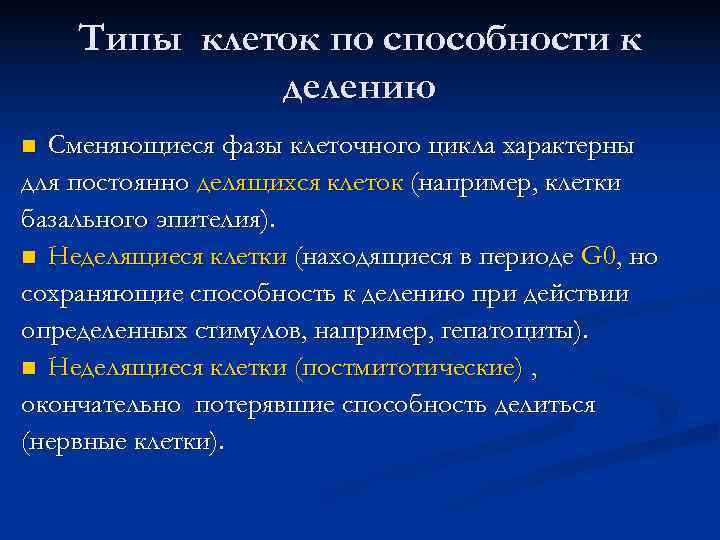 S-период репликации ДНК 