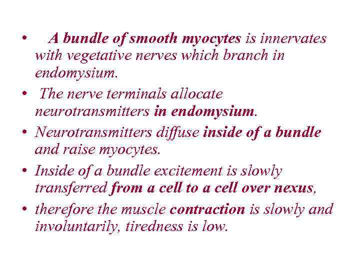  • A bundle of smooth myocytes is innervates with vegetative nerves which branch