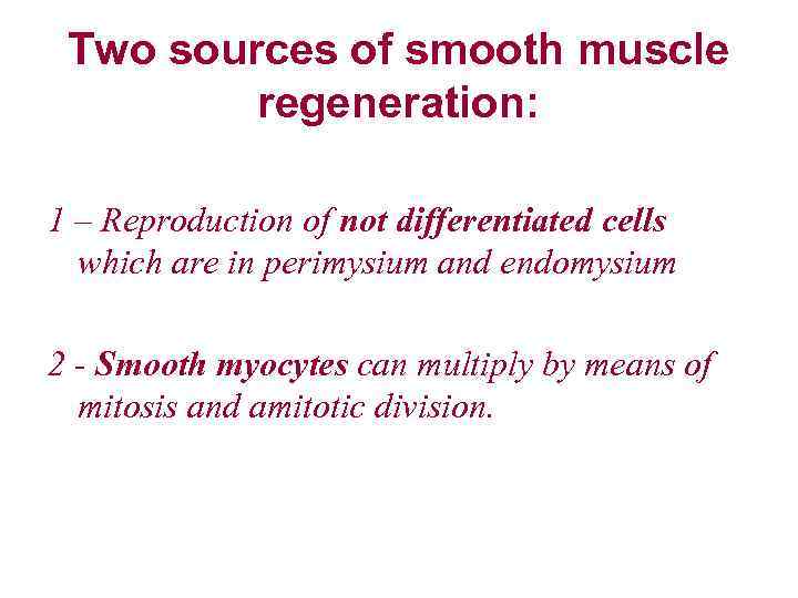  Two sources of smooth muscle regeneration: 1 – Reproduction of not differentiated cells