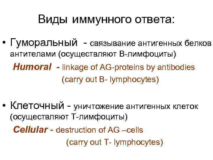  Виды иммунного ответа: • Гуморальный - связывание антигенных белков антителами (осуществляют В-лимфоциты) Humoral