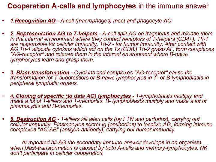  Cooperation A-cells and lymphocytes in the immune answer • 1. Recognition АG -