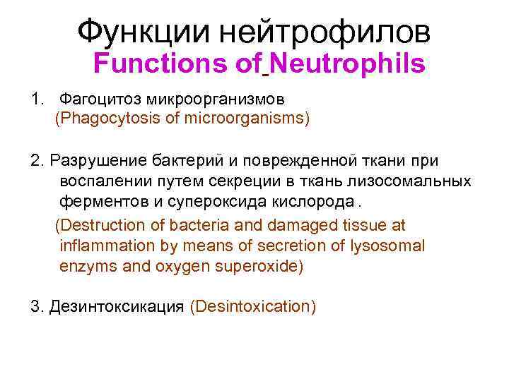  Функции нейтрофилов Functions of Neutrophils 1. Фагоцитоз микроорганизмов (Phagocytosis of microorganisms) 2. Разрушение