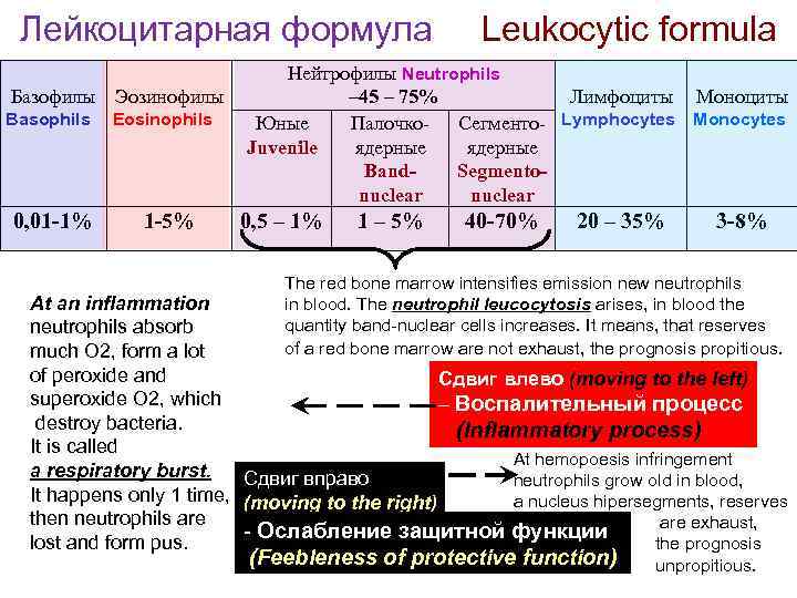 Изменения в лейкоцитарной формуле