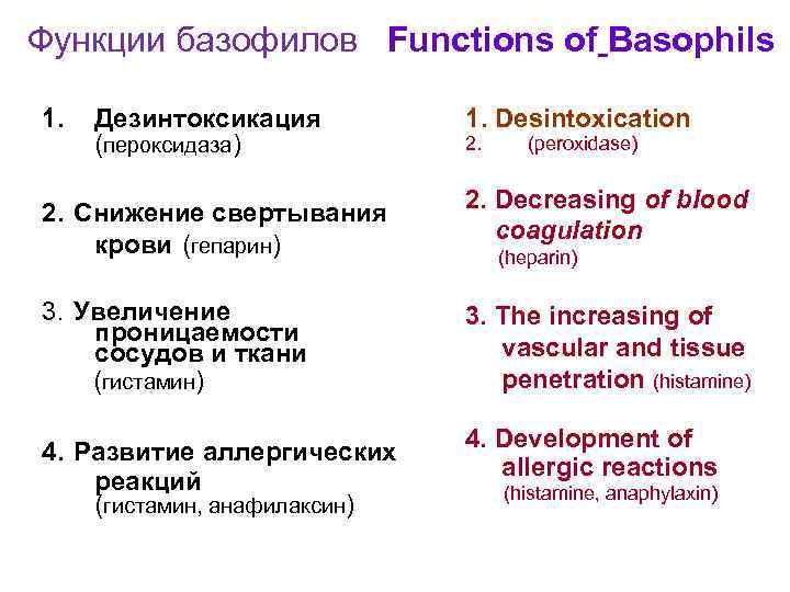 Базофилы спроси врача