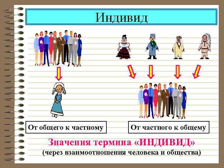  Индивид От общего к частному От частного к общему Значения термина «ИНДИВИД» (через