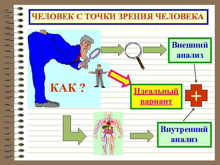 ЧЕЛОВЕК С ТОЧКИ ЗРЕНИЯ ЧЕЛОВЕКА Внешний анализ КАК ? Идеальный вариант + Внутренний анализ