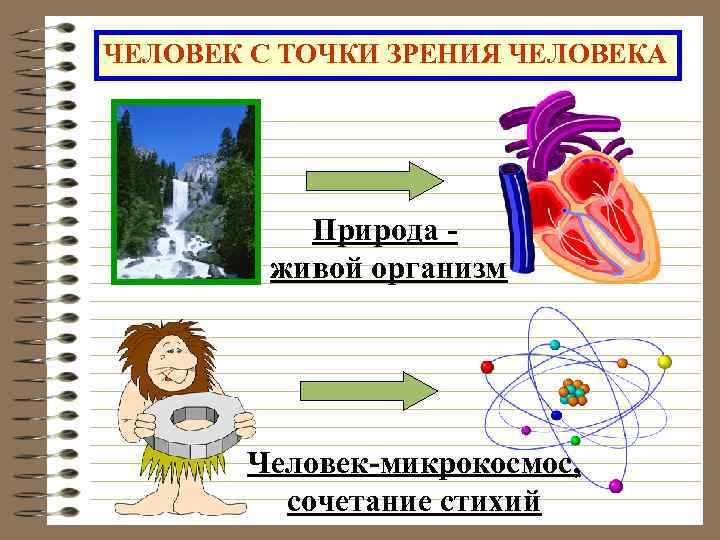 ЧЕЛОВЕК С ТОЧКИ ЗРЕНИЯ ЧЕЛОВЕКА Природа - живой организм Человек-микрокосмос, сочетание стихий 