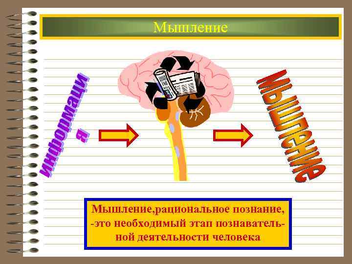  Мышление, рациональное познание, -это необходимый этап познаватель- ной деятельности человека 