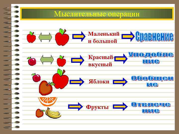 Мыслительные операции Маленький и большой Красный- вкусный Яблоки Фрукты 