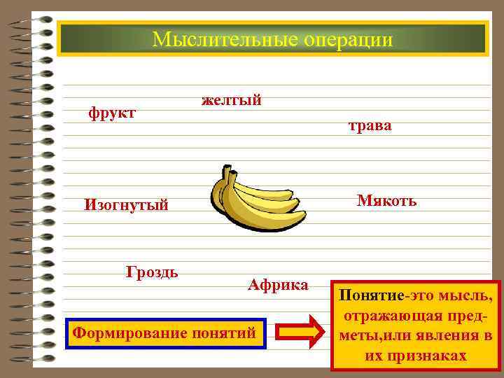  Мыслительные операции желтый фрукт трава Изогнутый Мякоть Гроздь Африка Понятие-это мысль, отражающая пред-