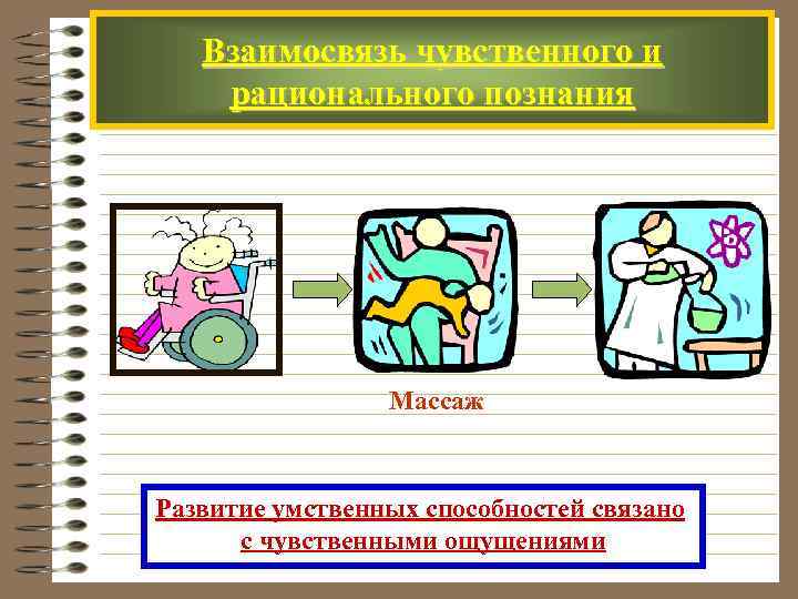  Взаимосвязь чувственного и рационального познания Массаж Развитие умственных способностей связано с чувственными ощущениями