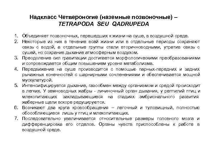  Надкласс Четвероногие (наземные позвоночные) – TETRAPODA SEU QADRUPEDA 1. Объединяет позвоночных, перешедших к