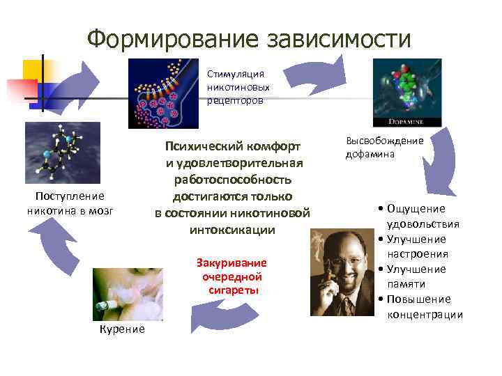  Формирование зависимости Стимуляция никотиновых рецепторов Высвобождение Психический комфорт дофамина и удовлетворительная работоспособность Поступление