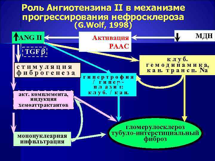  Роль Ангиотензина II в механизме прогрессирования нефросклероза (G. Wolf, 1998) ANG II Активация