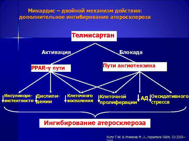  Микардис – двойной механизм действия: дополнительное ингибирование атеросклероза Телмисартан Активация Блокада PPAR-γ пути