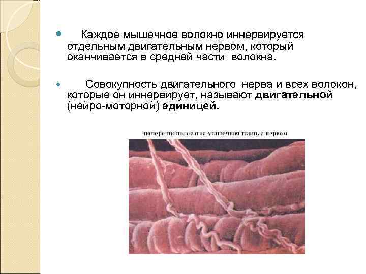   Латентный (скрытый) период –  это промежуток времени от момента  нанесения
