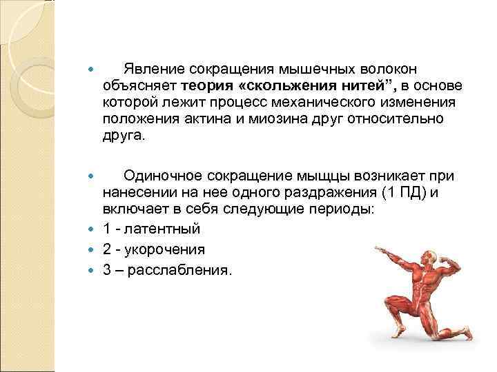    Виды мышечных волокон (быстрые,   медленные, смешанные)   Критерий