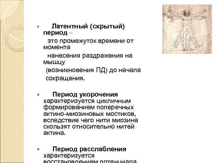    Виды мышечных сокращений:  В зависимости от нагрузки – изотонические, изометрические,