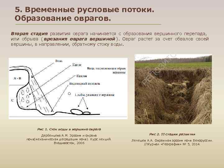  5. Временные русловые потоки. Образование оврагов. Вторая стадия развития оврага начинается с образования