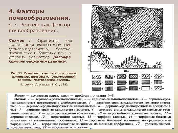 4. Факторы почвообразования. 4. 3. Рельеф как фактор почвообразования. Пример : Характерное для южнотаежной