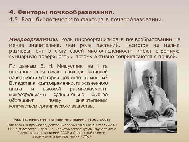  4. Факторы почвообразования. 4. 5. Роль биологического фактора в почвообразовании. Микроорганизмы. Роль микроорганизмов