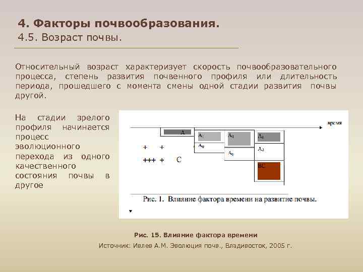 4. Факторы почвообразования. 4. 5. Возраст почвы. Относительный возраст характеризует скорость почвообразовательного процесса, степень