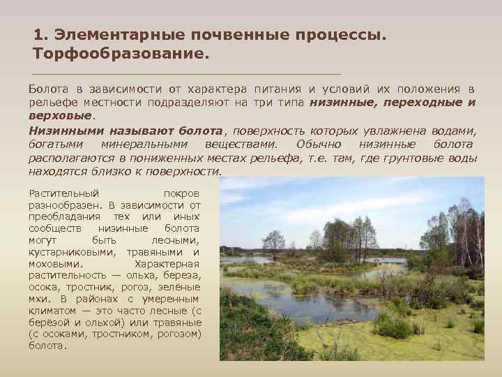 1. Элементарные почвенные процессы. Торфообразование. Болота в зависимости от характера питания и условий их