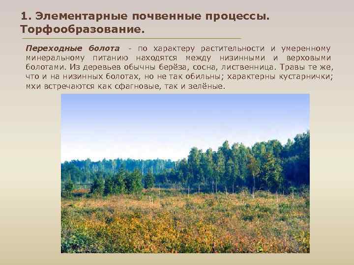 1. Элементарные почвенные процессы. Торфообразование. Переходные болота по характеру растительности и умеренному минеральному питанию