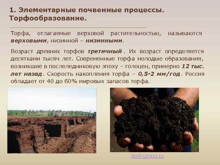 1. Элементарные почвенные процессы. Торфообразование. Торфа, отлагаемые верховой растительностью, называются верховыми, низинной – низинными.