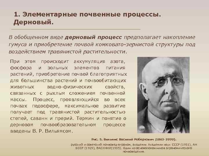  1. Элементарные почвенные процессы. Дерновый. В обобщенном виде дерновый процесс предполагает накопление гумуса