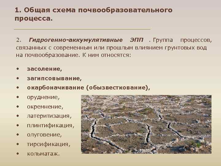 1. Общая схема почвообразовательного процесса. 2. Гидрогенно аккумулятивные ЭПП. Группа процессов, связанных с современным