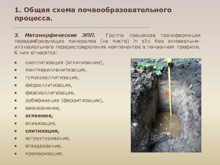 1. Общая схема почвообразовательного процесса. 3. Метаморфические ЭПП. Группа процессов трансформации породообразующих минералов (на